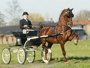 stuurboord
