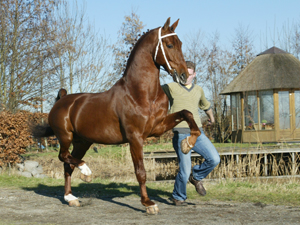 stuurboord