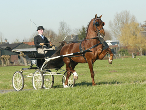 stuurboord