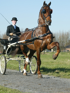 stuurboord