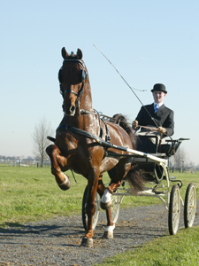 stuurboord