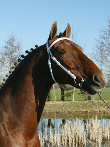 stuurboord