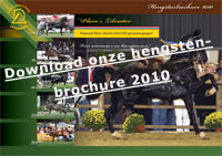 Hengstenbrochure 2010
